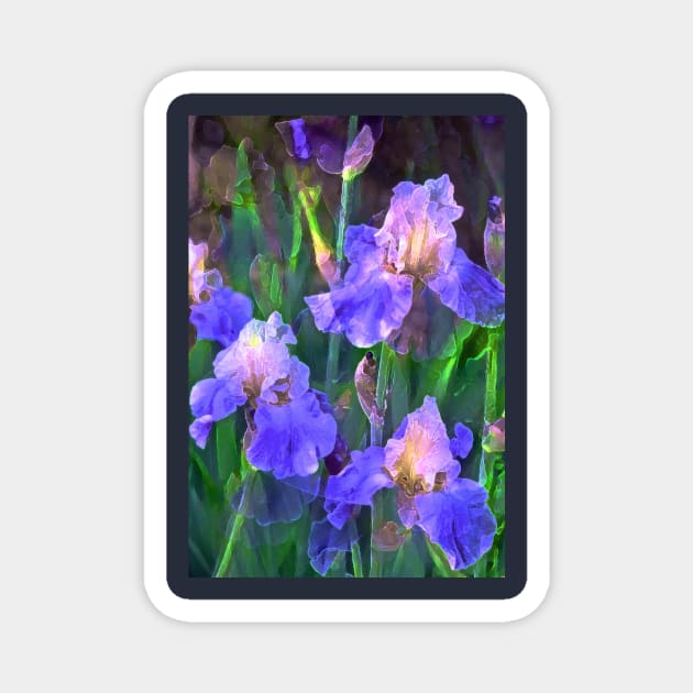 Iris 51 Magnet by secretgardener