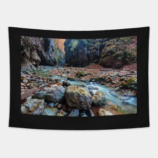 River in limestone canyon Tapestry