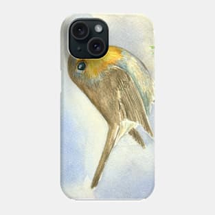 Robin bird on a frosted juniper branch Phone Case