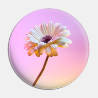 Gerbera Daisy - Electric 2 Pin