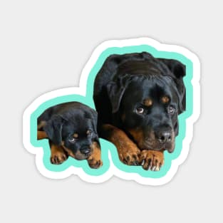 "Loyal Bond: Rottweiler Mothering" Magnet