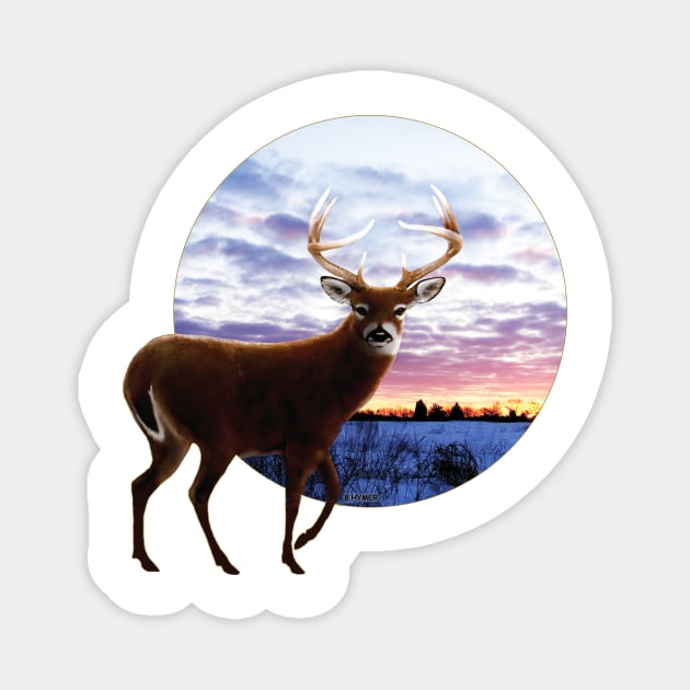 Sunrise Whitetail Magnet by bhymer