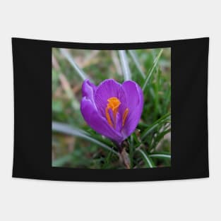 Purple and Orange Flower 3 Tapestry