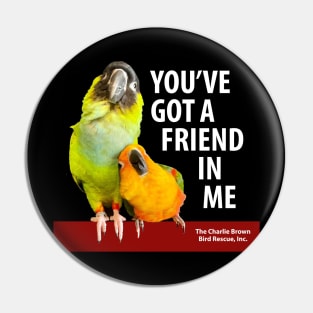 CB You've Got a Friend Pin