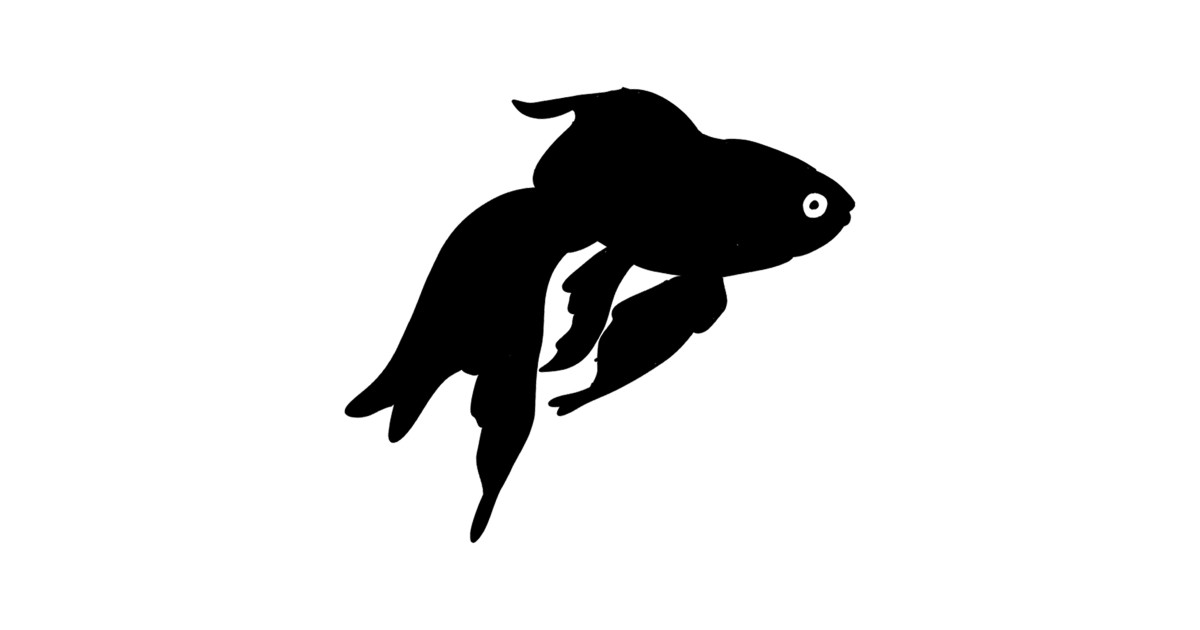 black and white goldfish