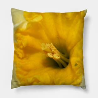 Spring Blossom Pillow