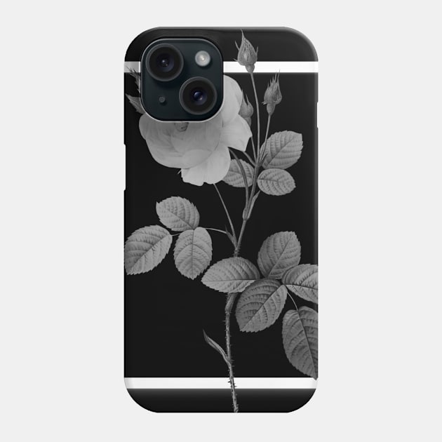 Mysterious rose Phone Case by Bleubruise