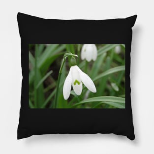 The March Snowdrop Pillow
