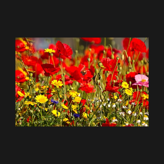 English Wild Flowers by Violaman