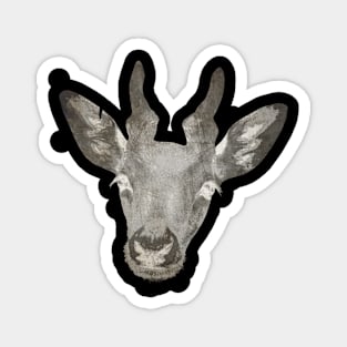 head deer abstract Magnet