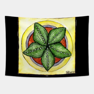 Astrophytum cactus star cacti plant watercolour illustration Tapestry