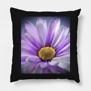 Purple Daisy Gerbera Pillow