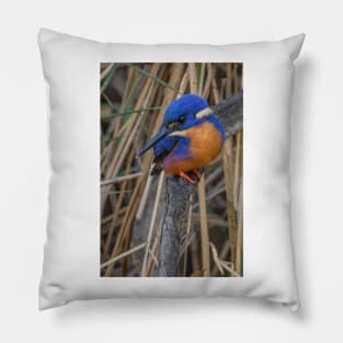 Azure kingfisher 06 Pillow