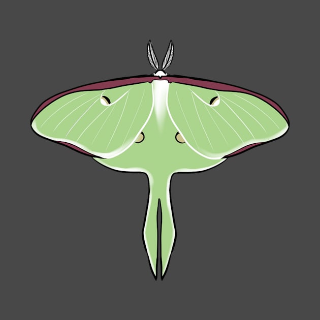 Actias luna by LvnaMuraArt