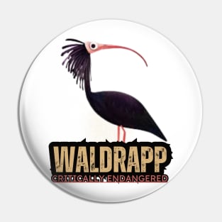 WALDRAPP CRITICALLY ENDANGETED BIRD Pin