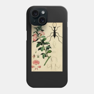 Pink flower with elegant black Damaster beetle; French botanical illustration from 1839 Phone Case