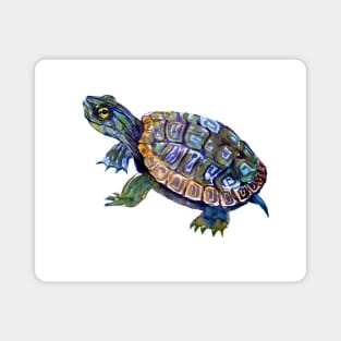 River Turtle, Slider, Turtle artwork Magnet