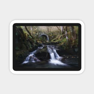 Magical Fairy Bridge Magnet