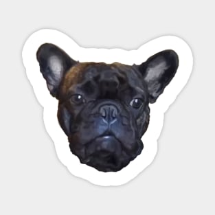 French Bulldog Drawing Magnet