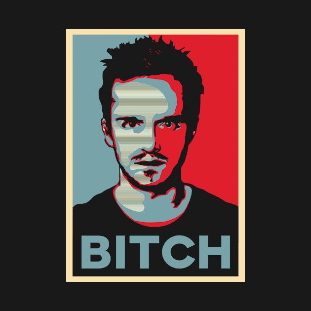 It's Pinkman, B*tch by DGNGraphix