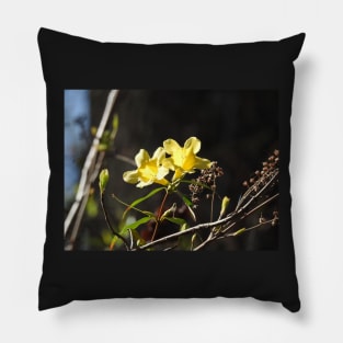 Yellow jessamine wildflowers, nature, gifts Pillow