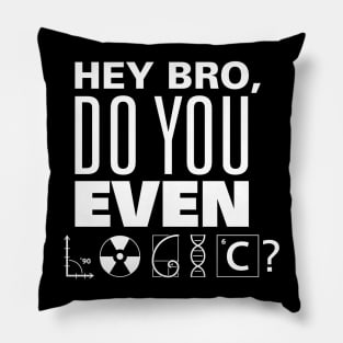 Do You Even Logic? Pillow