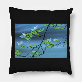 Dogwood Blossoms 2 Pillow