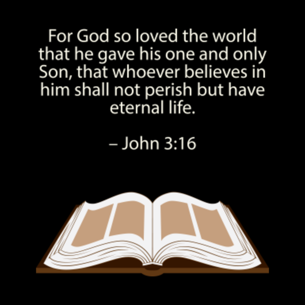 bible verse john 3 16