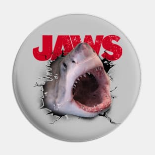 JAWS - Wall break Pin