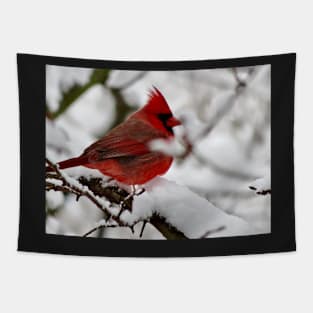 Winter Cardinal 4 Tapestry