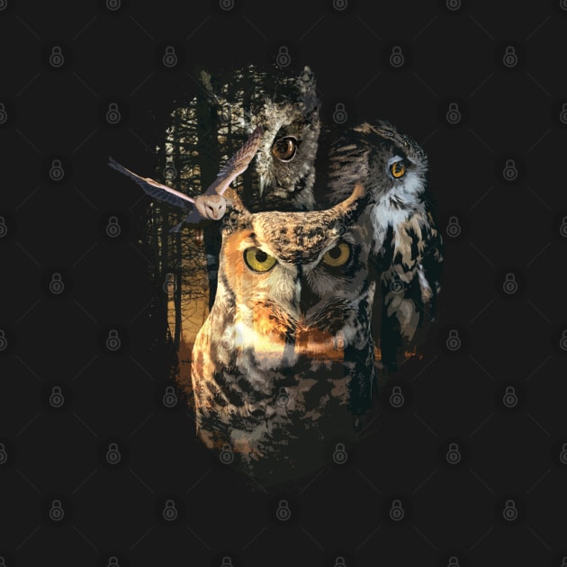 Forest Owl Master Wizzard Magician by Kali Space