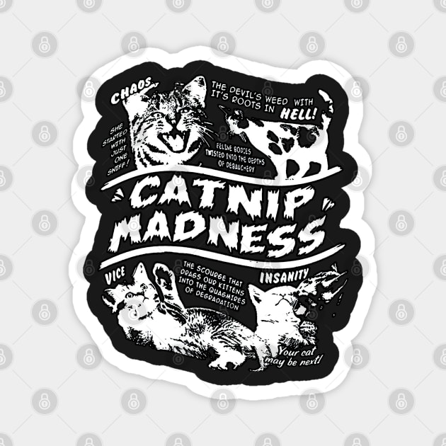 Catnip Madness Cute Kitten Funny Cat Pet Humor Magnet by masterpiecesai