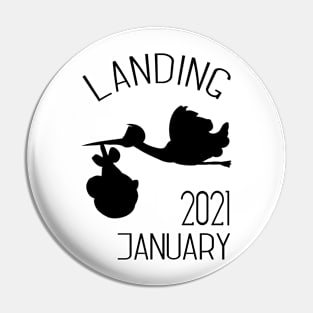 Stork landing 2021 Pin