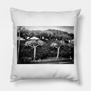 Architectural style of dragon trees Pillow