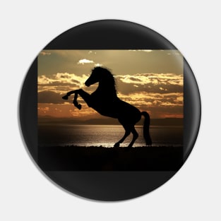 Beautiful Horse On The Beach Pin