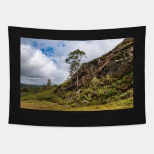 Walking over Holme Fell Tapestry