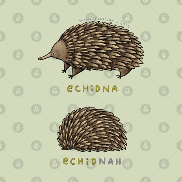 Echidna Echidnah by Sophie Corrigan