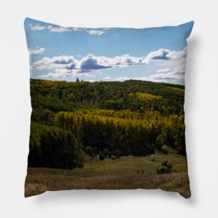 Fall in the foothills Pillow