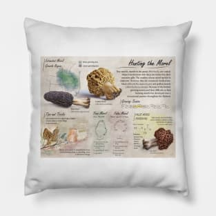 Morel Informational Poster Pillow