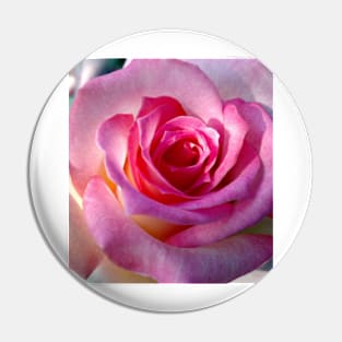 pink rose Pin