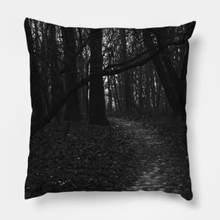 Slippery path Pillow