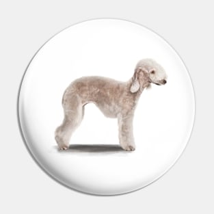 The Bedlington Terrier Dog Pin