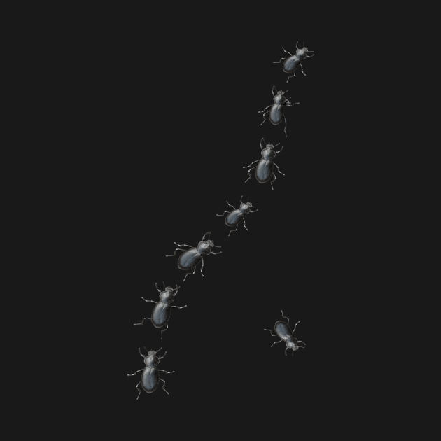 Creepy Crawly Black Beetles by mrdoomits