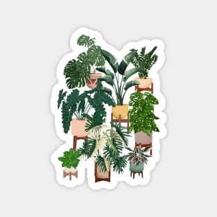 House plants collection 30.3 Magnet