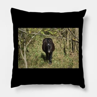 Wild Horse Pillow