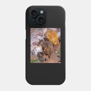 Allied Rock-Wallaby Phone Case