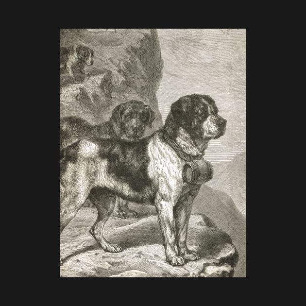 St Bernard Dogs with Brandy Barrels 1889 illustration by artfromthepast