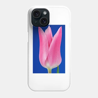 Tulipa  &#39;China Pink&#39;  AGM   Lily-flowered Group  Tulip Phone Case