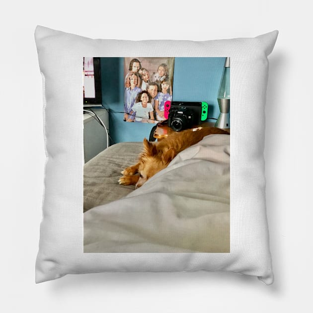 Chien natcho Pillow by JacyntheGag