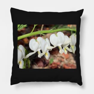 White Bleeding Hearts Pillow